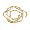 Natural Spiral Shell Beads Strands X-BSHE-I011-11A-2