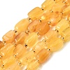 Natural Amber Beads Strands G-K376-G02-02-2