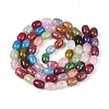Baking Paint Crackle Glass Beads Strands DGLA-N019-01A-01-2