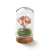 Natural Carnelian Chips Money Tree in Dome Glass Bell Jars with Wood Base Display Decorations DJEW-K030-02F-1