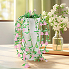 DIY Planters Makings Kits DIY-BM0002-95-6