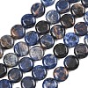 Natural Sodalite Beads Strands G-L648-B07-15mm-3