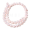 Dyed Natural Freshwater Shell Beads Strands SHEL-A006-03C-2