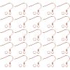 Unicraftale 200Pcs 304 Stainless Steel Earring Hooks DIY-UN0003-79-1