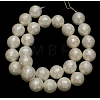 Shell Pearl Beads Strands X-SP034-12mm-2