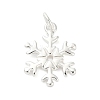 925 Sterling Silver Pendants LS-FIND-Z069-04S-B-1