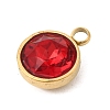 Birthstone Theme January 304 Stainless Steel Pendants STAS-K239-01G-A01-2
