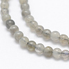 Natural Labradorite Beads Strands G-P322-31-4mm-3