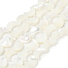 Natural White Shell Beads Strands SSHEL-10X12-1