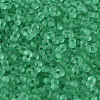 FGB Frosted Transparent Glass Seed Beads SEED-N013-06A-09-3