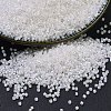 MIYUKI Delica Beads SEED-J020-DB0052-1