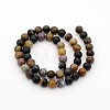 Natural Petrified Wood Round Bead Strands G-P070-69-4mm-2