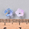 Frosted Transparent Acrylic Beads OACR-N137-72K-4