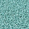 MIYUKI Delica Beads SEED-MY11-DB1576-3