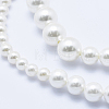Electroplate Shell Pearl Beads Strands BSHE-G007-A-09-3