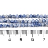 Natural Blue Spot Jasper Beads Strands G-A252-A02-02-5