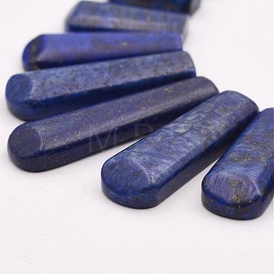 Natural Lapis Lazuli Beads Strands G-P298-I01-1