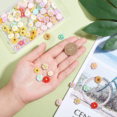 Resin Cabochons CRES-AR0001-01-1