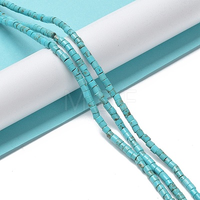 Natural Howlite Beads Strands G-E604-A02-C-1