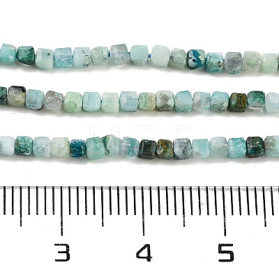 Natural Chrysocolla Beads Strands G-H042-B29-01-1