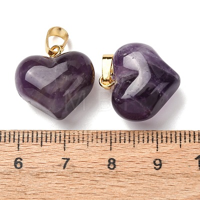 Natural Amethyst Pendants G-B188-04G-02-1