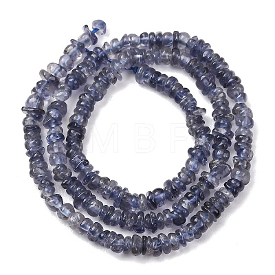 Natural Iolite Beads Strands G-K427-C01-01-1