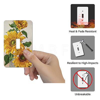2Pcs Acrylic Light Switch Plate Outlet Covers DIY-CN0001-93B-1