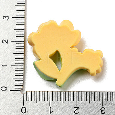 Opaque Resin Decoden Cabochons RESI-B022-02F-1