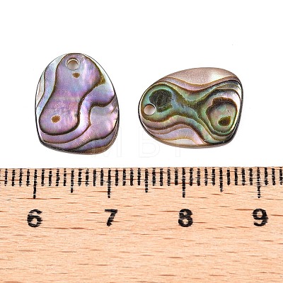 Natural Paua Shell Nuggets Charms SHEL-T020-11B-1