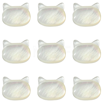 5Pcs Natural White Shell Beads BSHE-CJ0001-07-1