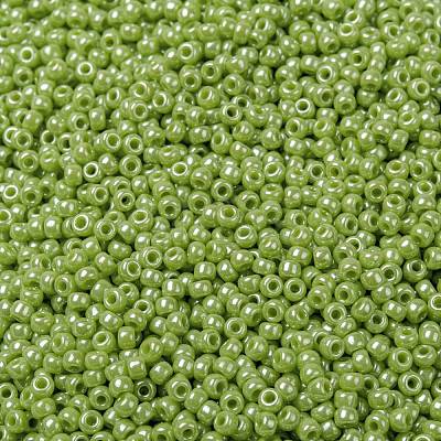 MIYUKI Round Rocailles Beads SEED-JP0009-RR0439-1