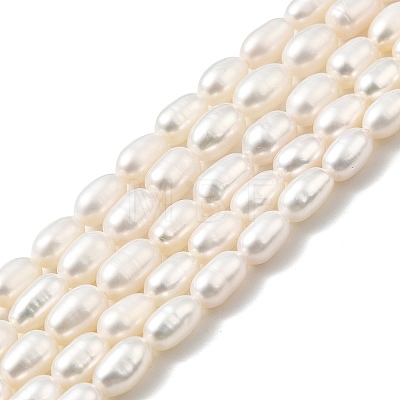 Natural Cultured Freshwater Pearl Beads Strands PEAR-I007-01P-05-1