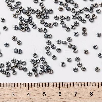 MIYUKI Round Rocailles Beads X-SEED-G008-RR2002-1