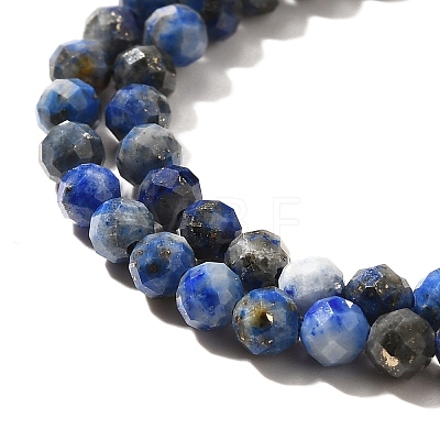 Natural Lapis Lazuli Beads Strands G-Z035-A01-02C-1