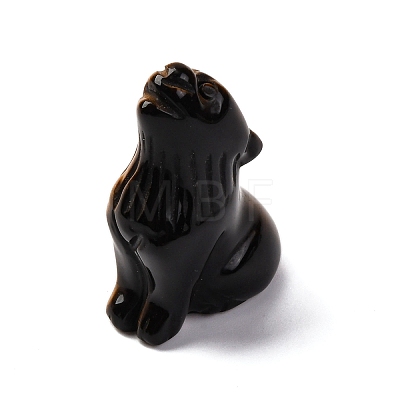 Natural Tiger Eye Display Decorations DJEW-P019-A16-1