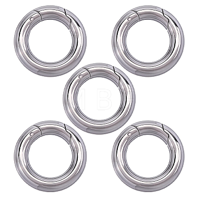 5Pcs 304 Stainless Steel Spring Gate Clasp Findings STAS-HY0002-14P-1