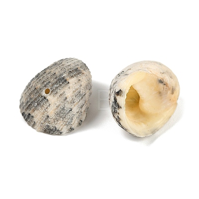 Natural Shell Beads SHEL-K009-17A-1