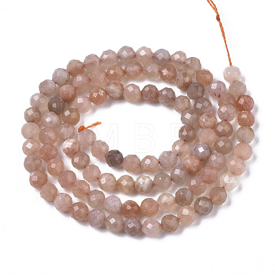 Natural Sunstone Beads Strands G-N328-009-1