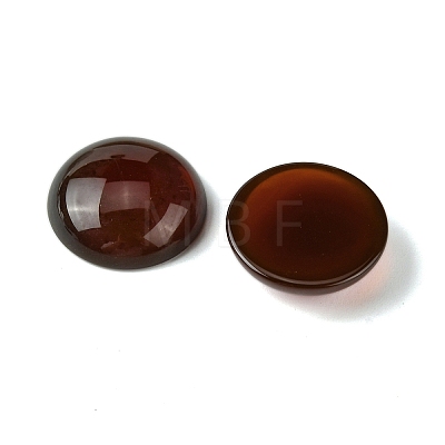 Natural Carnelian Cabochons G-L601-02A-02-1