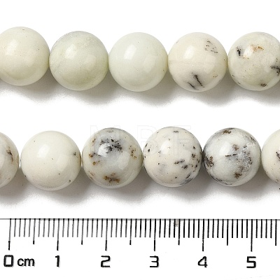 Natural Dendritic Jasper Beads Strands G-H298-A15-05-1