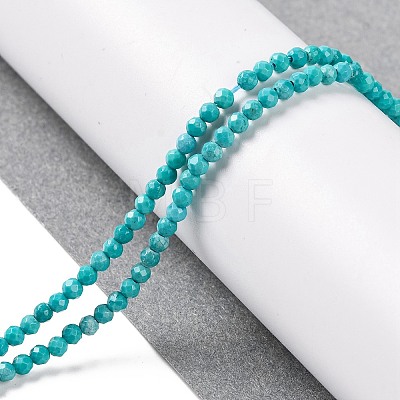 Natural Howlite Beads Strannds G-C025-02A-03-1