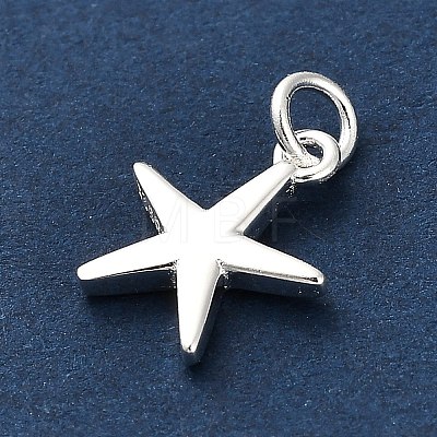 925 Sterling Silver Charms FIND-Z069-04S-A-1