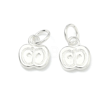 Teachers' Day 925 Sterling Silver Charms STER-A050-03B-S-1