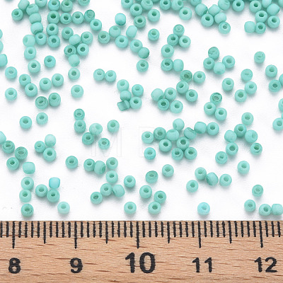 13/0 Glass Seed Beads SEED-T005-14A-A14-1