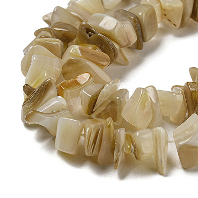 Natural Yellow Shell Beads Strands SSHEL-H072-05-1