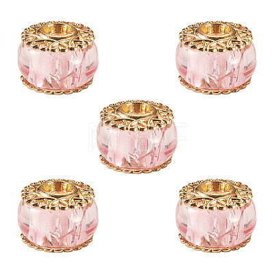 5Pcs Alloy European Beads MPDL-TADJ0001-02C-1