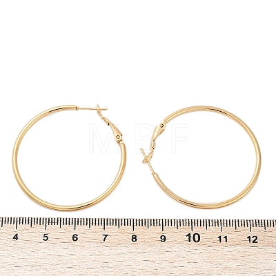 201 Stainless Steel Hoop Earrings LS-EJEW-F188-24G-B-1