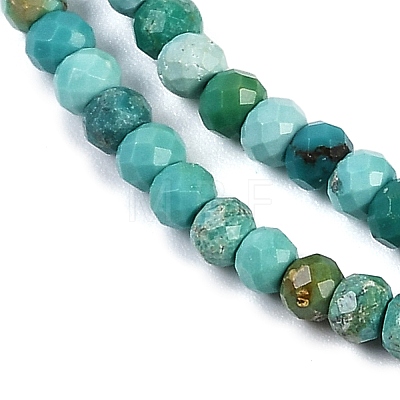 Natural Turquoise Dyed Beads Strands G-H070-A02-01-1