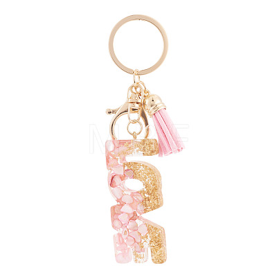 Alloy & Resin Tassel Keychainss AJEW-TADJ0001-20G-06-1