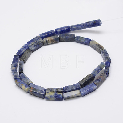 Natural Sodalite Stone Beads Strands G-E342-01-1